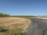 California Landscape: Asphalt Road and Grass