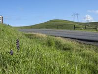 California Landscape: Clear Sky Over Agriculture Fields