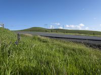 California Landscape: Clear Sky Over Agriculture Fields