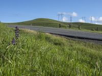 California Landscape: Clear Sky Over Agriculture Fields