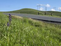 California Landscape: Clear Sky Over Agriculture Fields