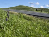 California Landscape: Clear Sky Over Agriculture Fields