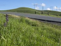 California Landscape: Clear Sky Over Agriculture Fields