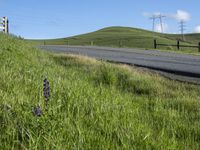 California Landscape: Clear Sky Over Agriculture Fields