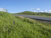 California Landscape: Clear Sky Over Agriculture Fields