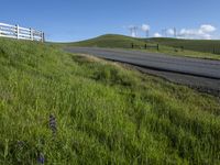 California Landscape: Clear Sky Over Agriculture Fields