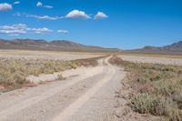 a dirt road running through a dry grassy field with a blue sky and mountains in the background