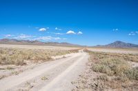 a dirt road running through a dry grassy field with a blue sky and mountains in the background