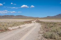 a dirt road running through a dry grassy field with a blue sky and mountains in the background