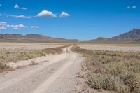 a dirt road running through a dry grassy field with a blue sky and mountains in the background