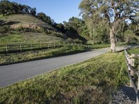 California Landscape: Clear Sky, Nature, and Day