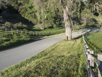 California Landscape: Clear Sky, Nature, and Day