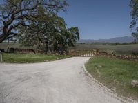 this is an image of the entrance to a ranch gate on the side of the road