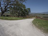 this is an image of the entrance to a ranch gate on the side of the road