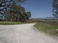 this is an image of the entrance to a ranch gate on the side of the road