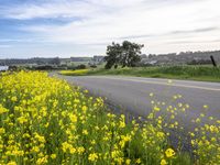 California Landscape Under a Cloudy Sky