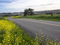 California Landscape Under a Cloudy Sky