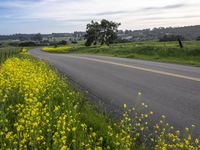 California Landscape Under a Cloudy Sky