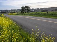 California Landscape Under a Cloudy Sky