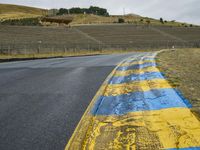 this is a yellow and blue painted line along the road in front of a hillside