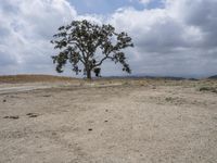 California Landscape: A Desert with Grass