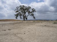 California Landscape: A Desert with Grass