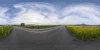 a 360 - view photo of an empty highway in the middle of the day with fields and trees around the road