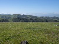 California Landscape: Grassy Mountains and Open Space