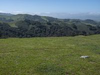 California Landscape: Grassy Mountains and Open Space