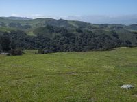 California Landscape: Grassy Mountains and Open Space