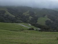 a green pasture on a sunny day with rolling hills and horses in the distance and fog clouds