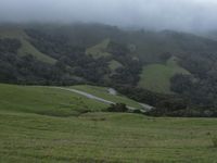 a green pasture on a sunny day with rolling hills and horses in the distance and fog clouds