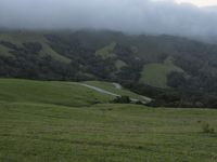 a green pasture on a sunny day with rolling hills and horses in the distance and fog clouds