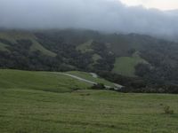 a green pasture on a sunny day with rolling hills and horses in the distance and fog clouds