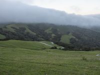 a green pasture on a sunny day with rolling hills and horses in the distance and fog clouds