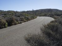 California Landscape: Hills, Vegetation, Coast, Ocean 001