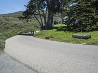 California Landscape: Low Day with Clear Skies