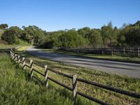 California Landscape: Lush Green Pasture for a Picturesque View