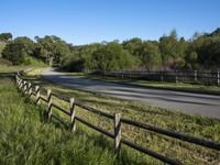 California Landscape: Lush Green Pasture for a Picturesque View