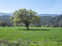 California Landscape: Mountains Under a Clear Sky