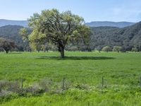 California Landscape: Mountains Under a Clear Sky