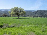 California Landscape: Mountains Under a Clear Sky