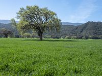 California Landscape: Mountains Under a Clear Sky