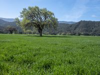 California Landscape: Mountains Under a Clear Sky