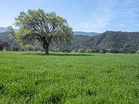 California Landscape: Mountains Under a Clear Sky