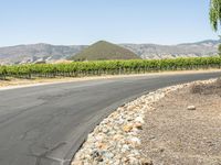 California Landscape: Mountains and Fields of Grass