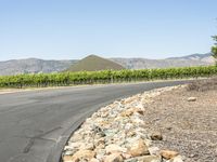 California Landscape: Mountains and Fields of Grass