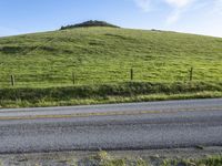 California Landscape: Mountain, Green Fields and More