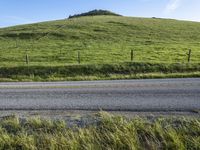 California Landscape: Mountain, Green Fields and More