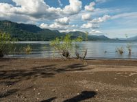 a dog walking along an empty beach with mountains in the background and lake water on the far side